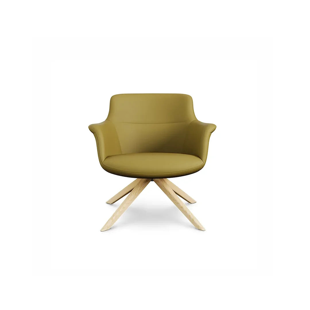 B&T Design Rego Lounge Chair